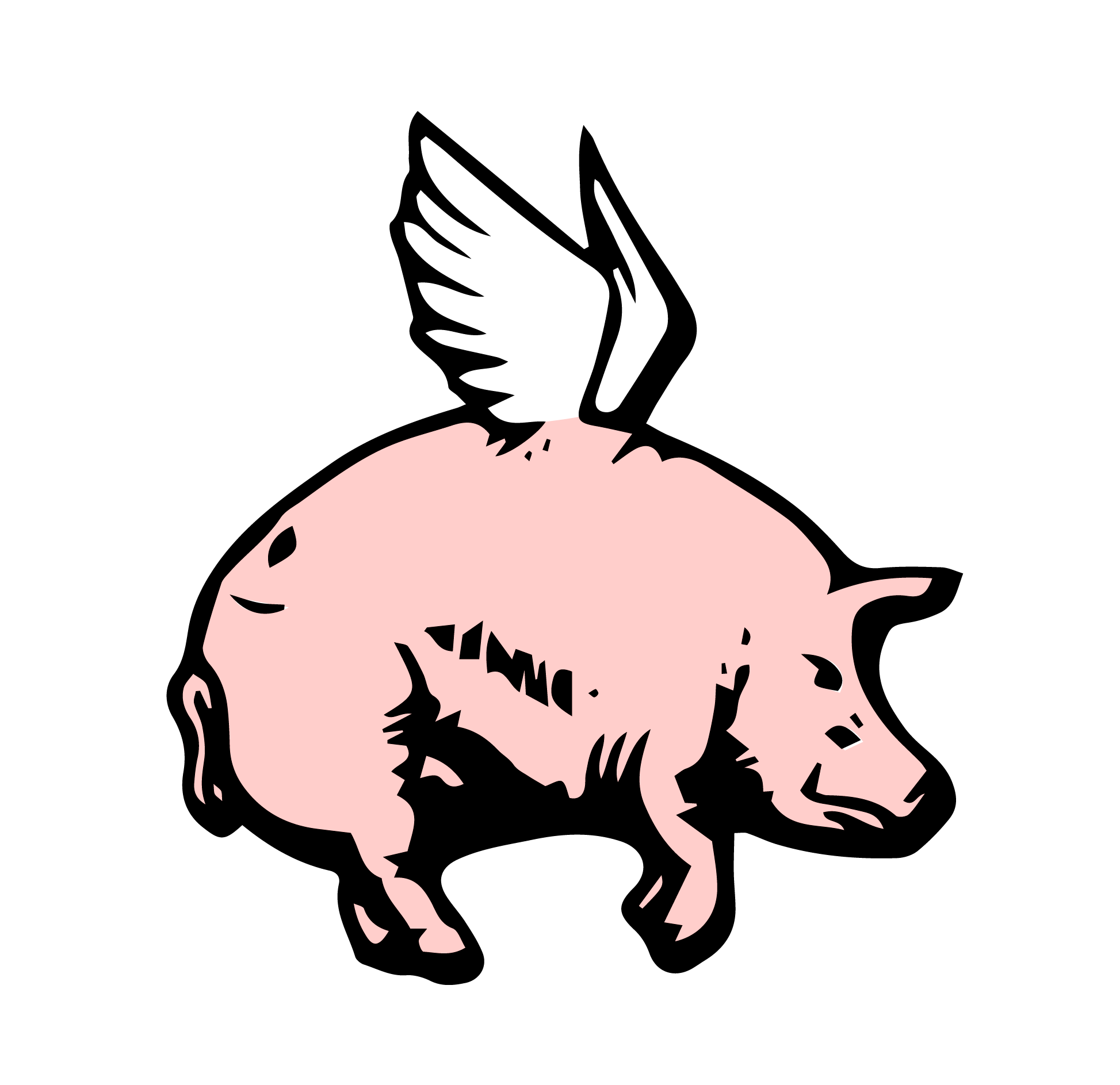 Pigasus & Beatscape: Una Nueva Inmersión Sensorial